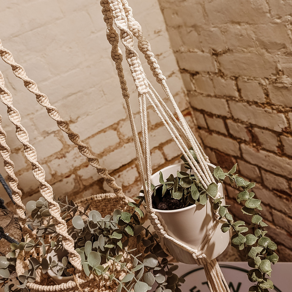 Thumbnail: macramé plant hanger kit