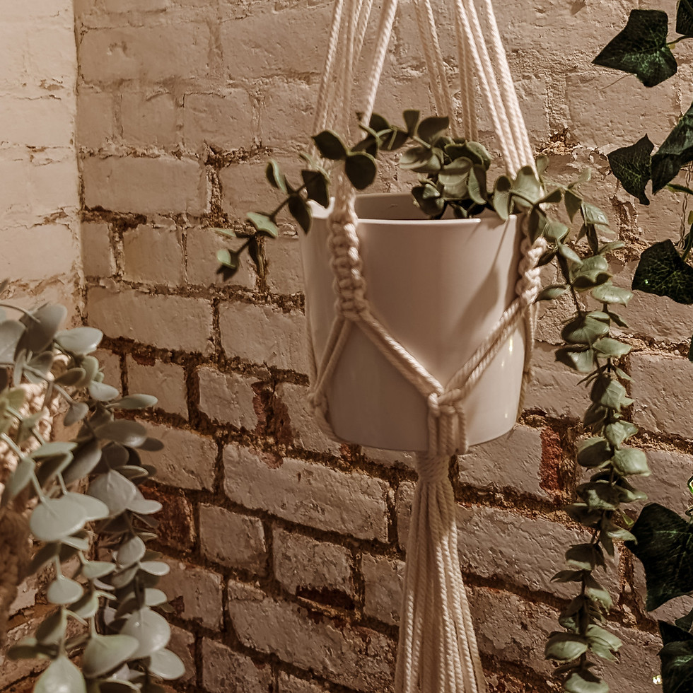 Thumbnail: macramé plant hanger kit