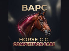 horsey horsey.org