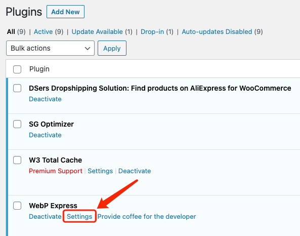 Why I can't push my product from Woo DSers to WooCommerce - Settings of WebP Express - Woo DSers