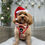 Thumbnail: The Night Before Christmas