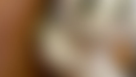 2日目から4日目