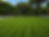 7B583683-8632-4A46-89EE-B8D4272E8735 (2).PNG