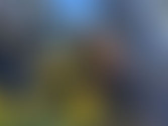  First Responders Rescued Pointer Near San Francisco Stranded on Ledge of Cliff for 20 Minutes