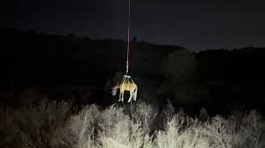 Deuce, the Horse Sedated to be Rescued by  Fire Department using Helicopter