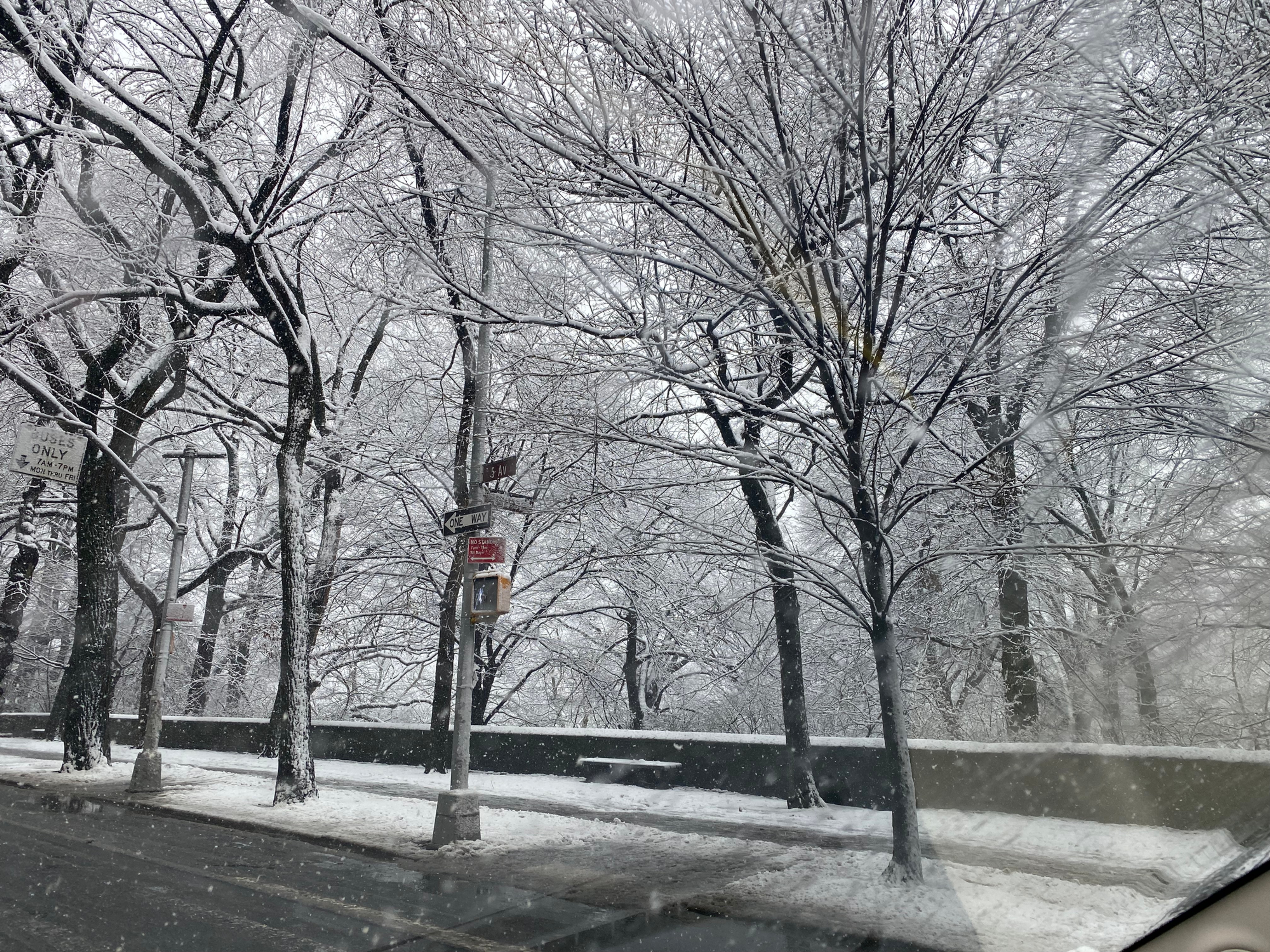 CENTRAL PARK SNOW DAY