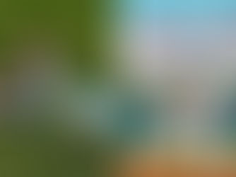 LA DOGER'S, SHOHEI OHTANI WRITES CHILDREN'S BOOK, in HONOR OF HIS DOG, DECOY.  