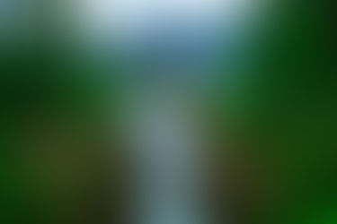 Finding God’s Peace