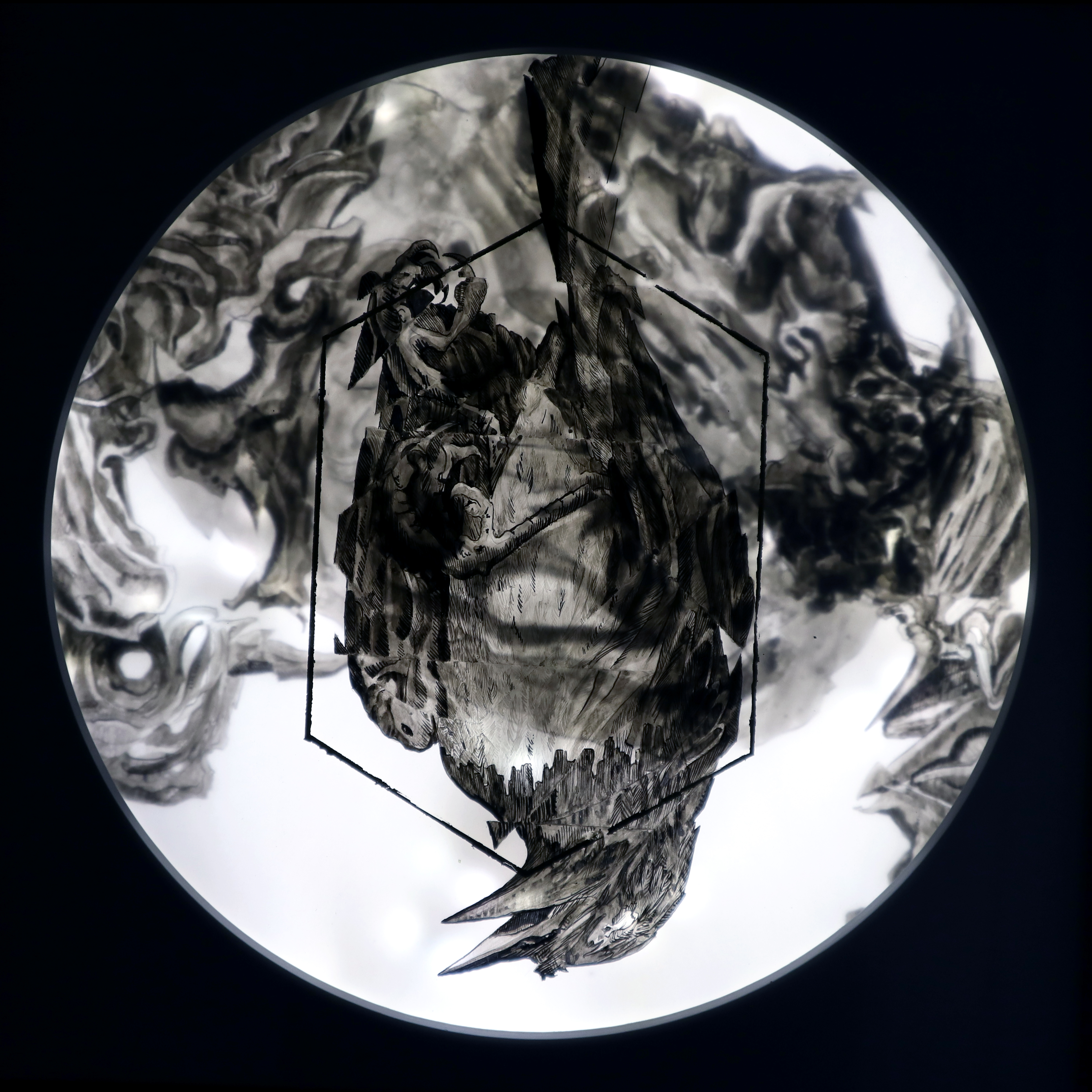 PHANTOM MASSES (VEDA) - LIGHT BOX