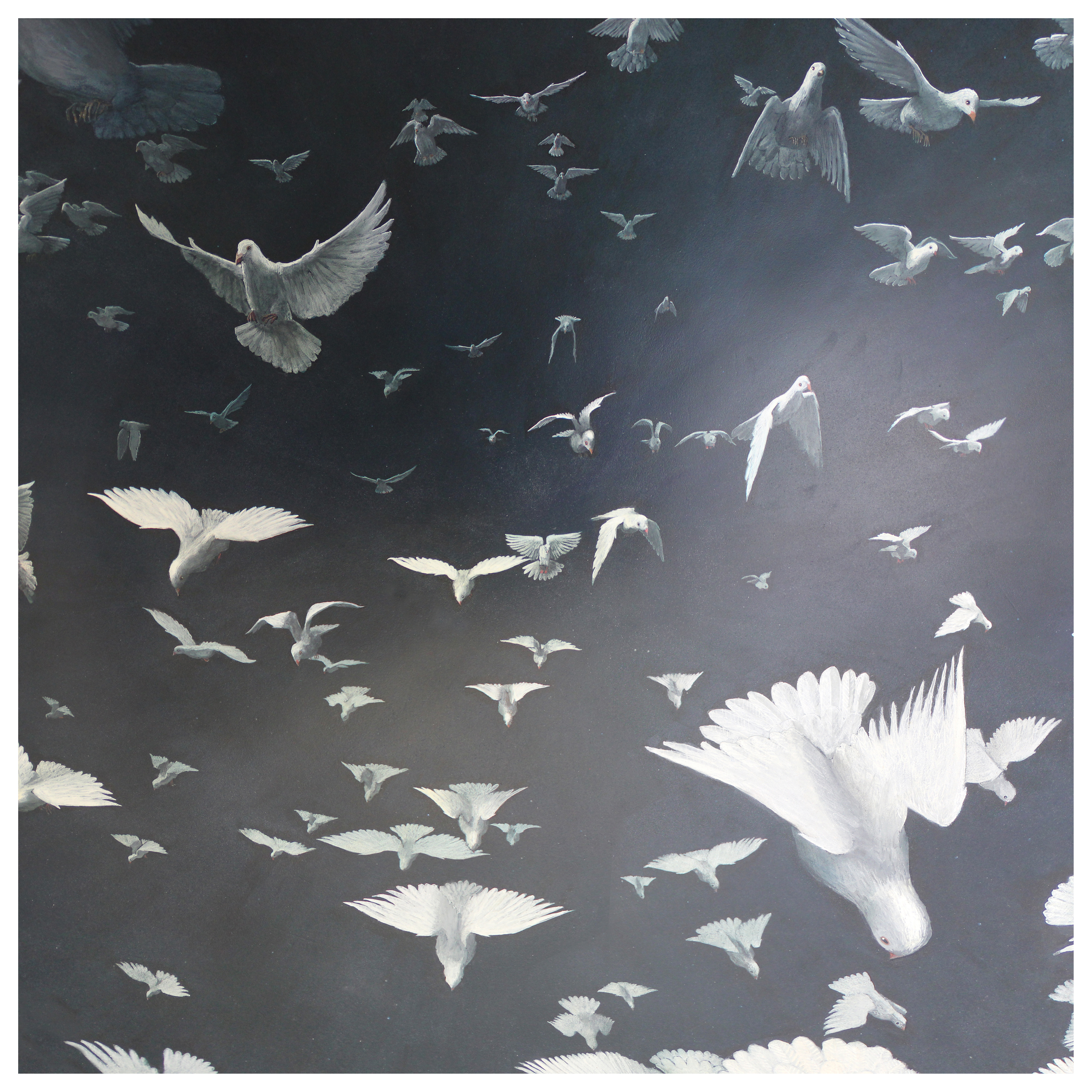 Flock-Signed_Limited_edition_print_-_60x