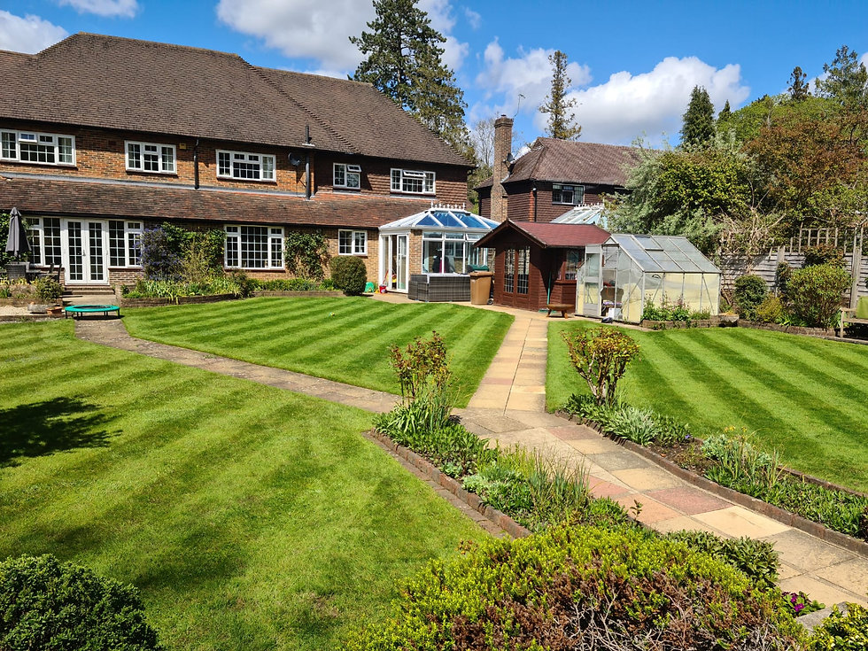 Rupert garden lawn.jpeg