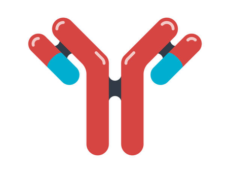 O que é doença autoimune?