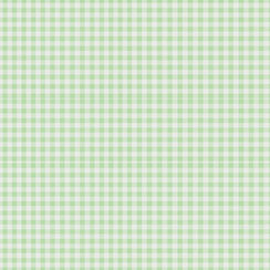 GREEN MINT COLOR GINGHAM BACKGROUND PATTERN_edited_edited.jpg