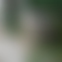 Spotting Potential Problems Early with Comprehensive Home Inspections