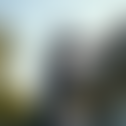 Uncovering the Home Inspection Journey: Navigating Key Stages with Excitement and Exploration