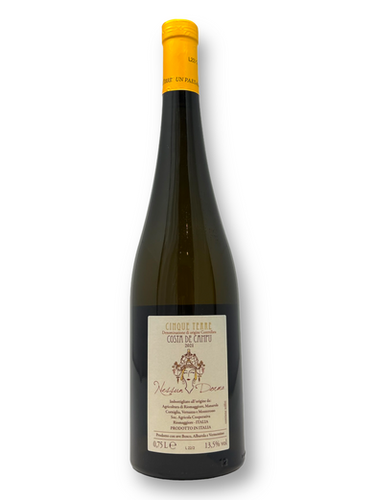 fresco 辻野剛 Dan bottle L fresco 辻野剛 Dan bottle L Bottle with