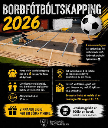 Borðfótbóltur
