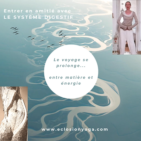 ÉCLOSION Corps-Esprit | Yoga de l'énergie et Body-Mind Centering® | Nantes et en ligne