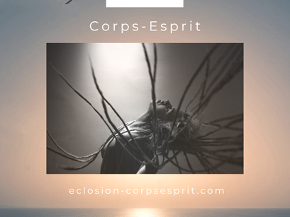 Éclosion Yoga devient Éclosion Corps-Esprit