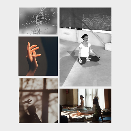 Cours Yoga de l'énergie et Body-Mind Centering