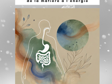 Voyage organique à Nantes