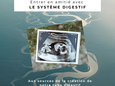 Aux sources de la création...