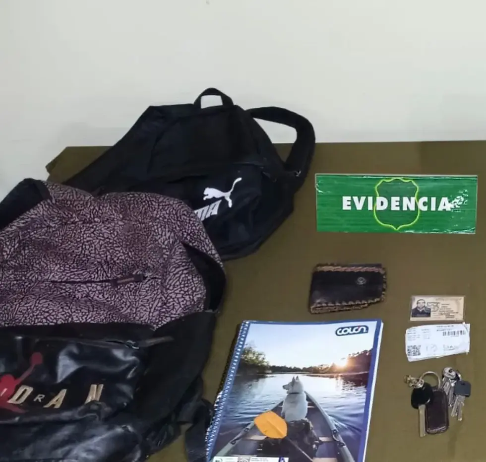 Carabineros de la SIP incautó armamento artesanal, municiones y especies robadas durante operativo en sector Aguas Negras