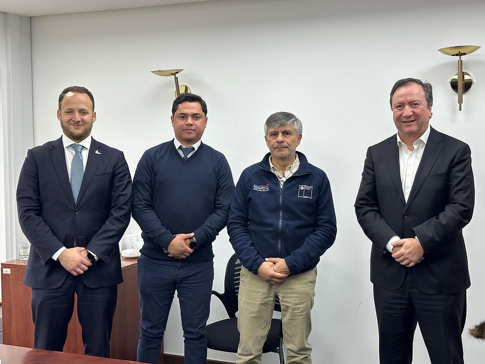 Tras una reunión entre el subsecretario de Telecomunicaciones, el alcalde Juan Carlos Díaz, el diputado Jorge Guzmán y el concejal Cristofer Moller acordaron establecer una mesa de trabajo para el próximo 27 de junio en Talca con el objetivo de coordinar el retiro de cables en desuso en el casco histórico de la ciudad, cita a la que se sumarán las empresas operadoras responsables del cableado.