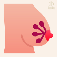 How Well Do You Know Your Bust Anatomy?