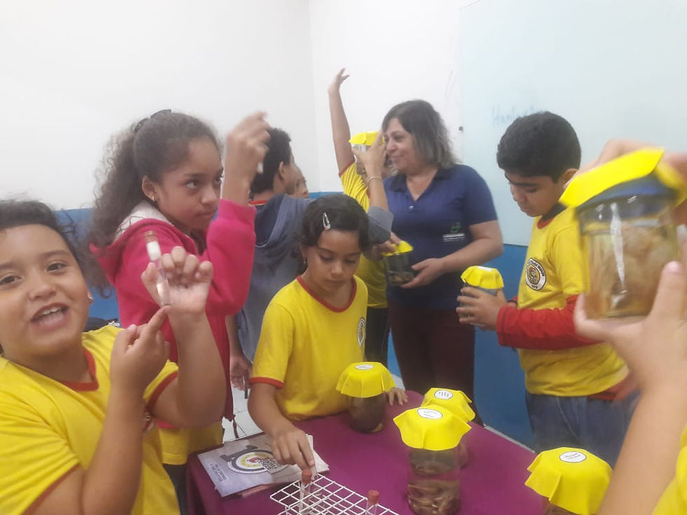 Herói Mirim