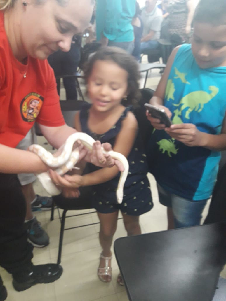 Herói Mirim