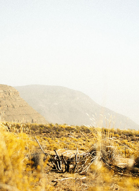 mzimasi-ndzombane-N_BjunC9J5Q-unsplash.j