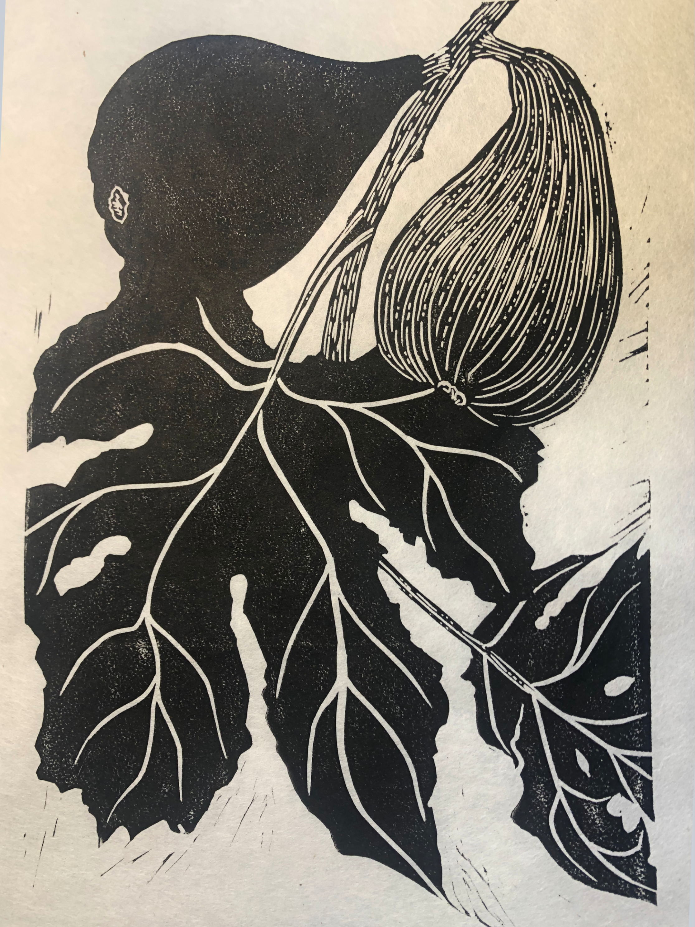Fig