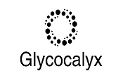 Glycocalyx