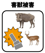 お墓の補償害獣被害