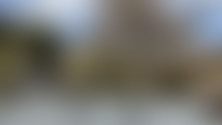 びわ湖霊園に樹木葬「みどりの丘」誕生