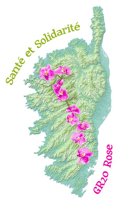 le logo du GR20rose qui représente beaucoup le relief de la corse l'orchidée