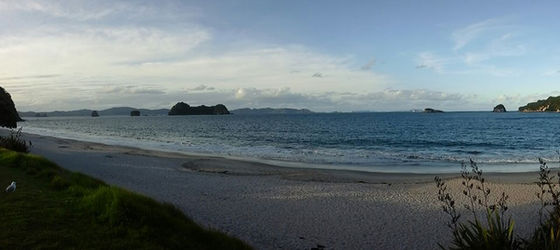 Praise for the Cathedral. Coromandel, Purangi Winery, Free Camp.