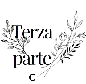 terza parte_edited.png