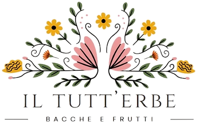 logo tutt'erbe_edited.png