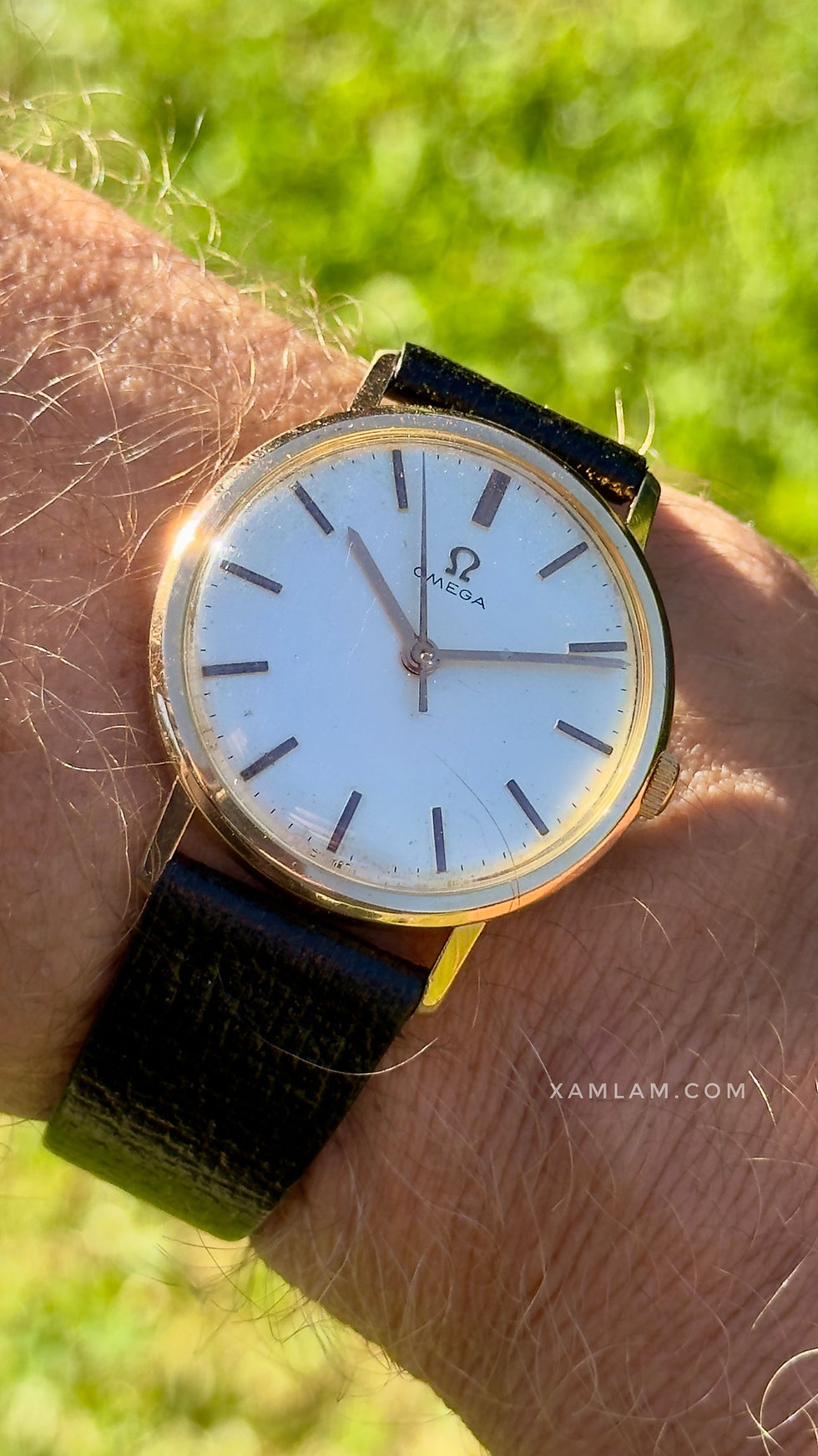 Miniature : Omega 131.002