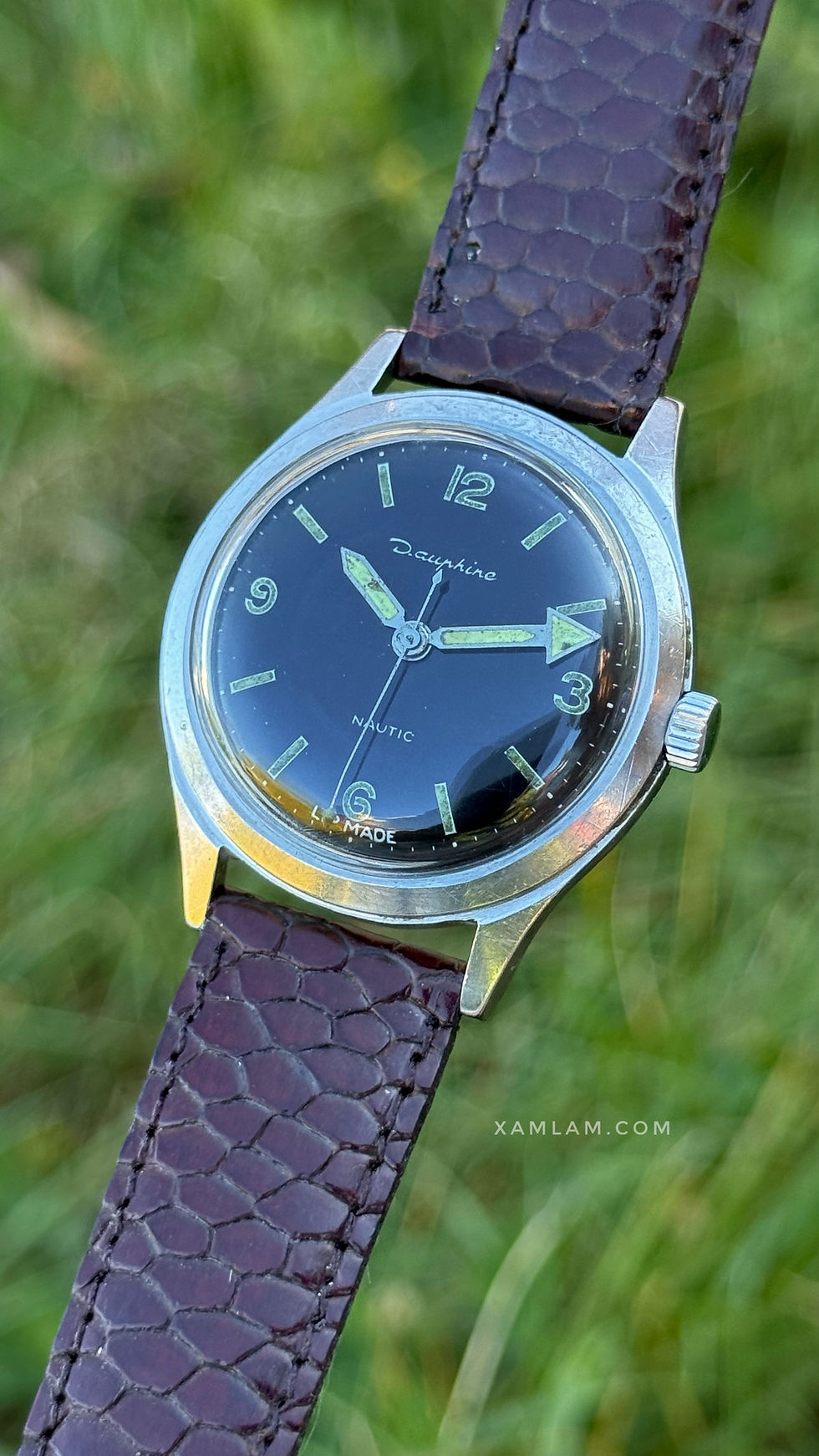 Miniature : Lip Nautic Dauphine