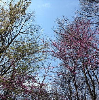 IMG_0854.jpeg