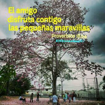 Nota 22 - El amigo es más que hermano