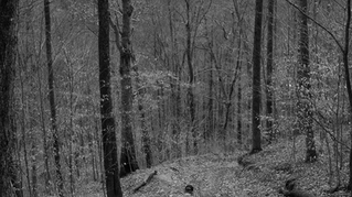 Ronnie Hipshire, credit: Andrew Lichtenstein