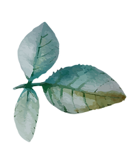 Leaf decal