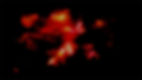 Image1_edited.jpg