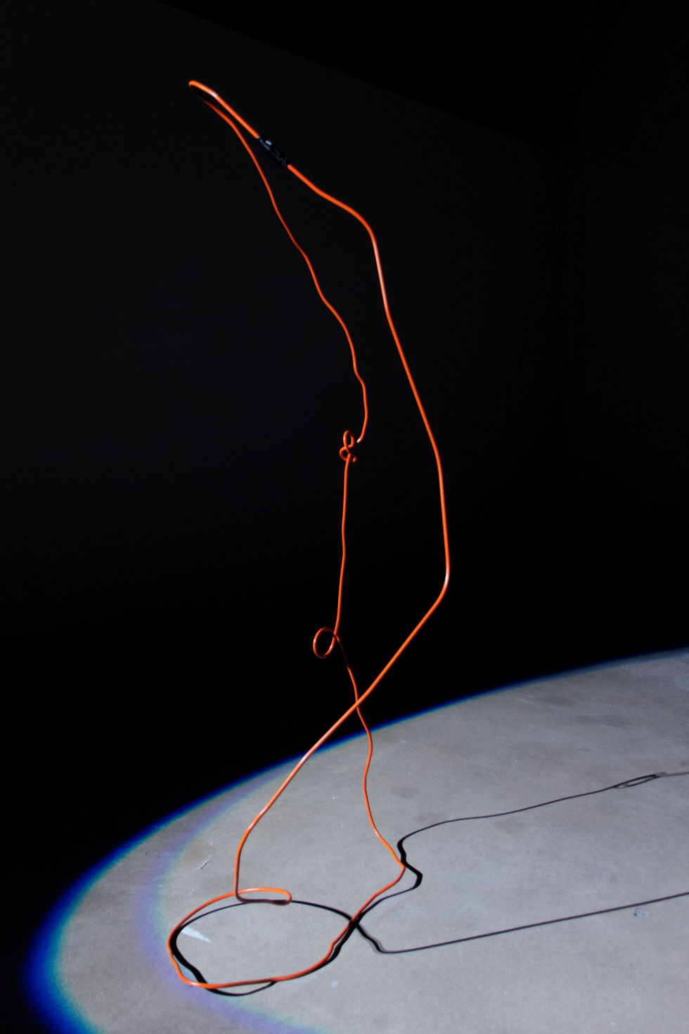 The Circulatory of Consumption (for consumption’s sake), 2022