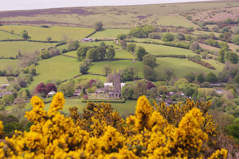 cathedral-in-the-moor1.JPG
