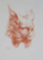 3-1-1 L'homme-chat, lithographie, 15x20cm, 1978_edited